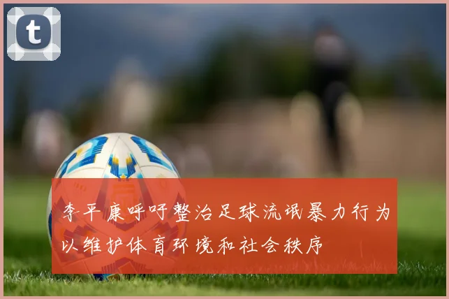 李平康呼吁整治足球流氓暴力行为以维护体育环境和社会秩序