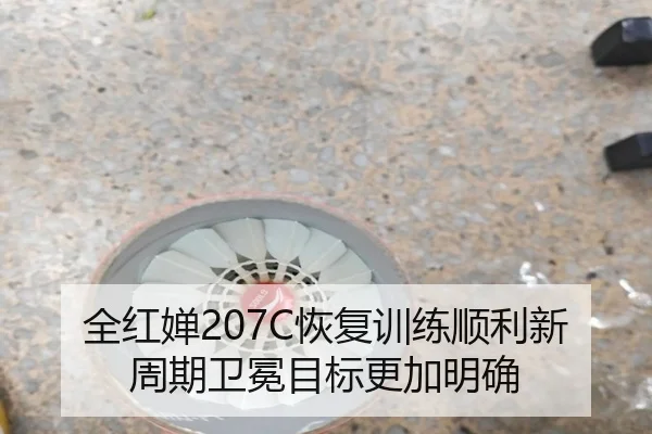 全红婵207C恢复训练顺利新周期卫冕目标更加明确